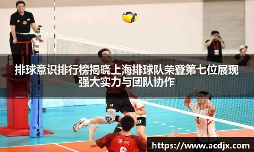 排球意识排行榜揭晓上海排球队荣登第七位展现强大实力与团队协作